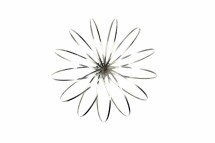 TOROFLUX оптом