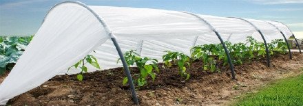 Парник &quot;Дивный сад&quot; ПВХ 8 м купить оптом 